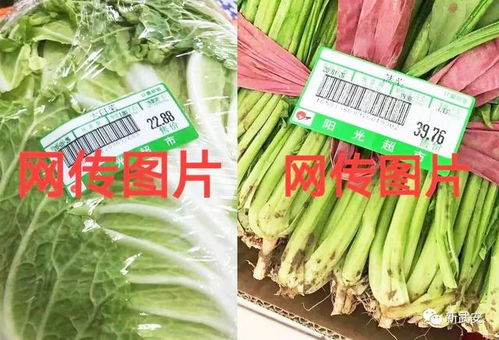 一颗白菜22元 一捆菠菜39元 邯郸武安市场监管局带你一探究竟